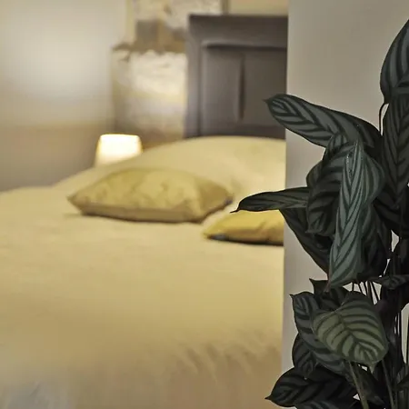 Triple In The Center * سبليت