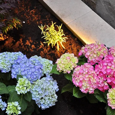 Triple In The Center سبليت