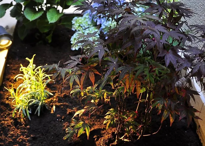 Triple In The Center